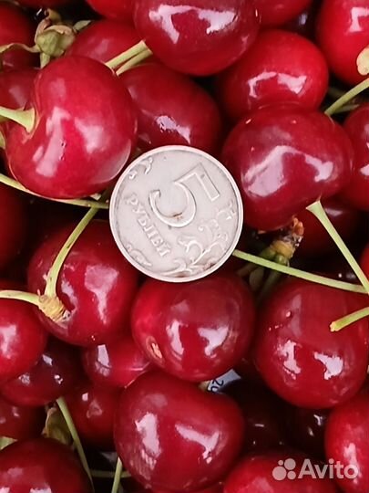 Продукты питания оптом