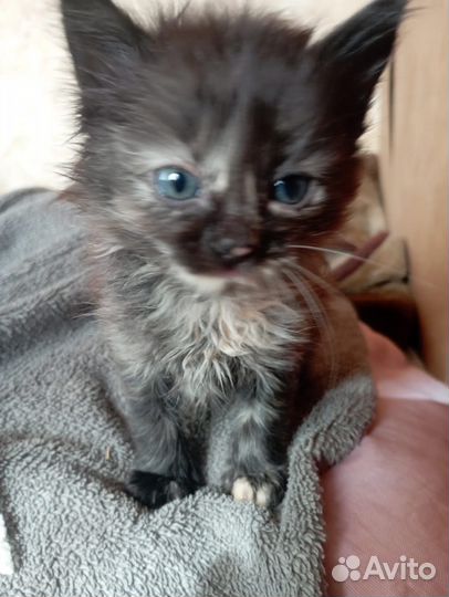 Очаровательные девочки