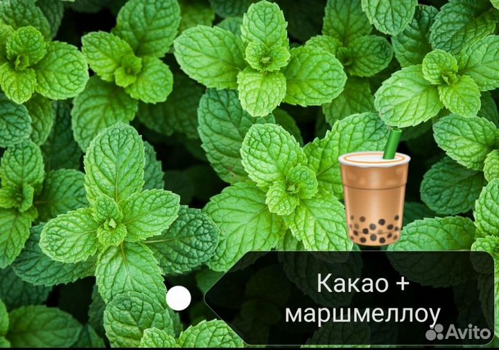 Мята 7 ароматов