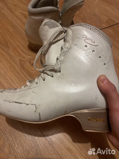 Коньки для фигурного катания edea chorus