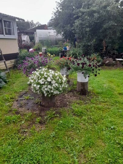 Дача 45 м² на участке 5 сот.