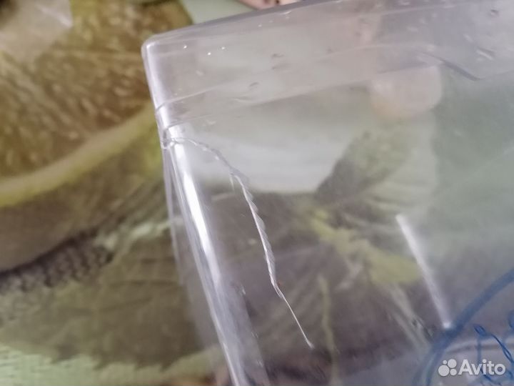 Ящики для холодильника posis