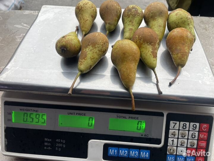 Груша конференция