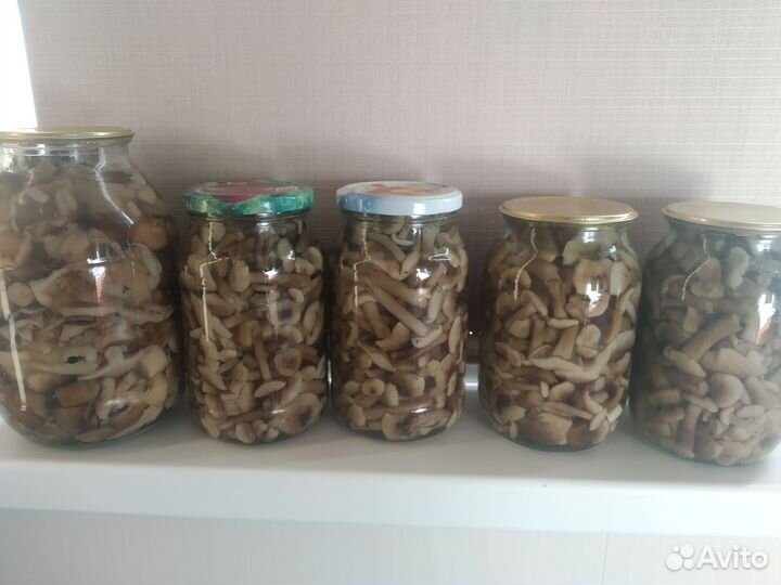 Грибы маринованные