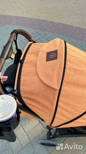 Coletto Maya Automatic 2023