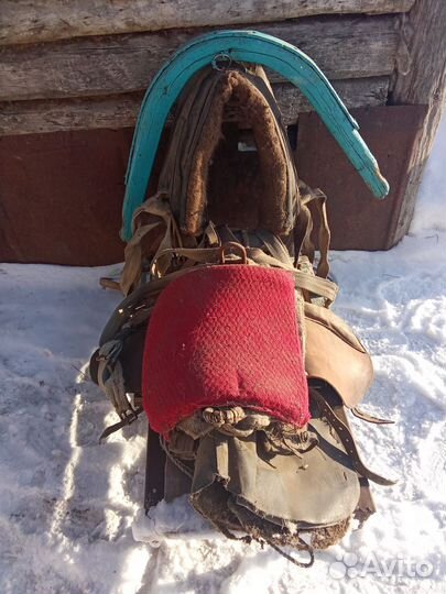 Сбруя для лошади