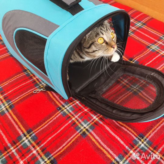 Переноска для кошек бу
