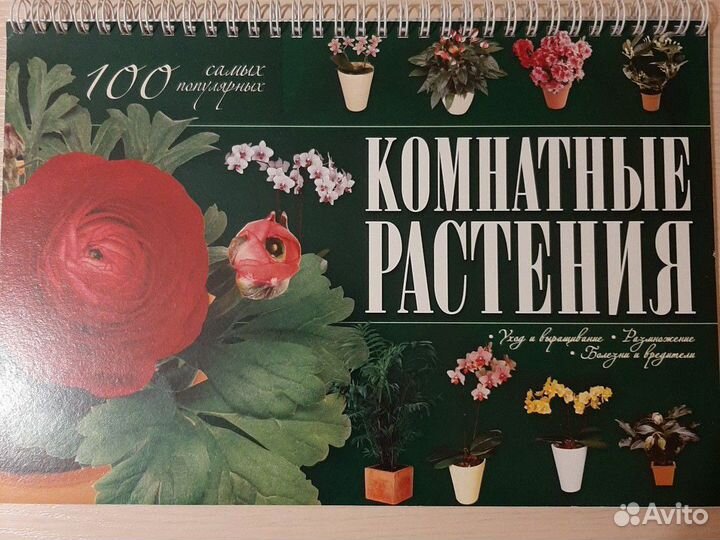 4 Лучшие Книги для девочки в подарок