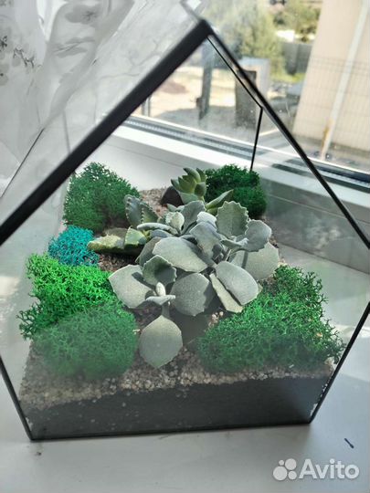 Флорариум дом