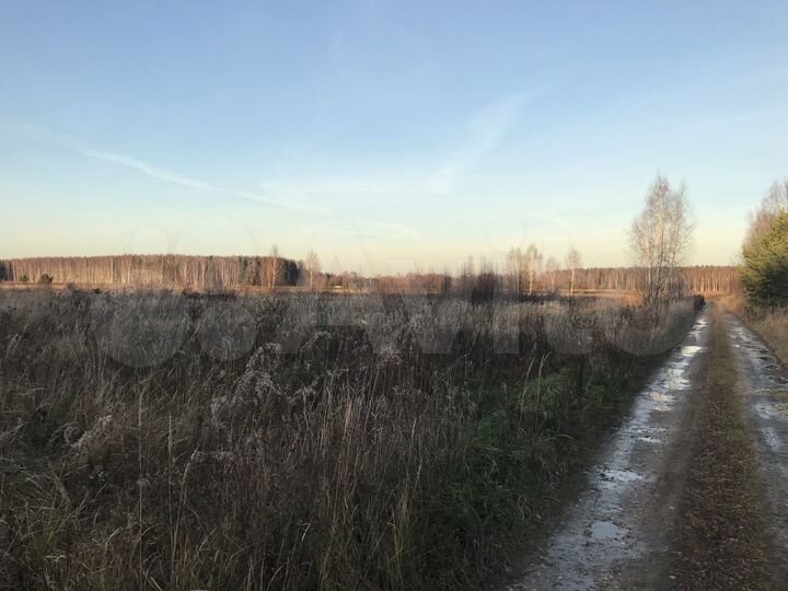 Участок 5 га (СНТ, ДНП)