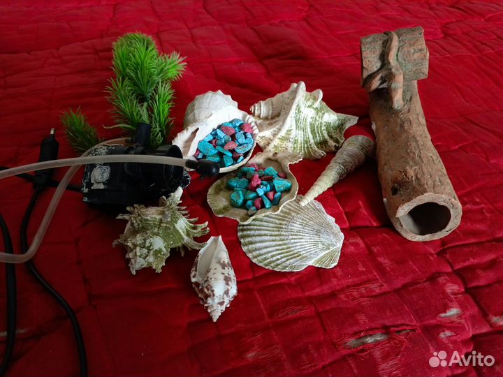 Аквариум с ракушками