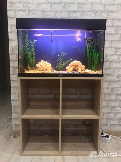 Аквариум