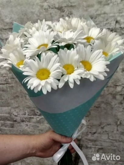 Букет Ромашка Премиум