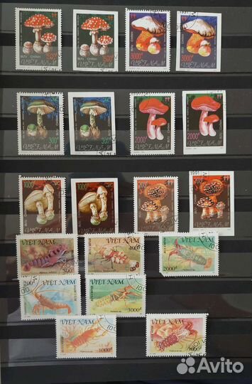 Набор почтовых марок Вьетнам(грибы,морские жители)