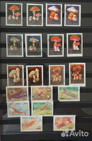 Набор почтовых марок Вьетнам(грибы,морские жители)