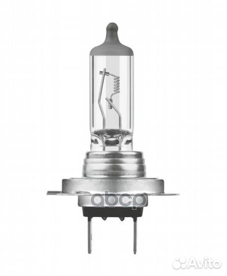 Лампа накаливания противотуманной фары n499a Ne