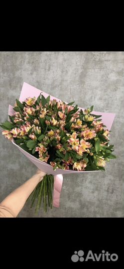 Альстромерия цветы