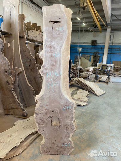 Слэб капового карагача