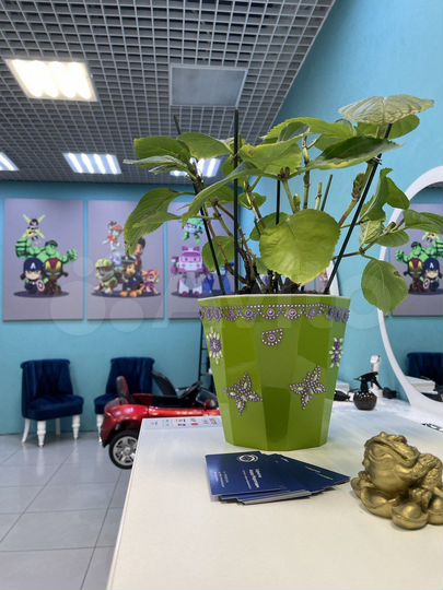 Торговая площадь, 54.5 м²