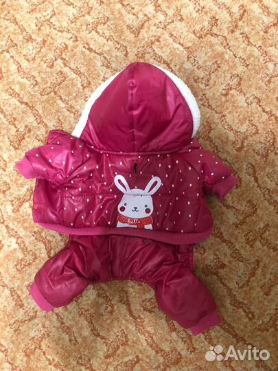 Комбинезон для маленькой собачки