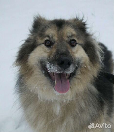 Старый Бароша мечтает пожить дома сколько успеет