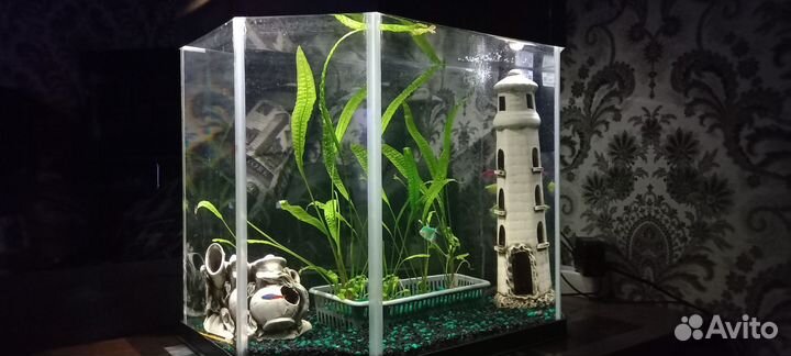 Аквариум
