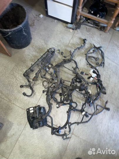 Проводка подкапотная с блоком Kia Rio 3