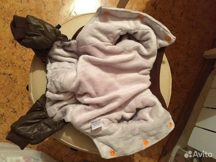 Одежда для собак