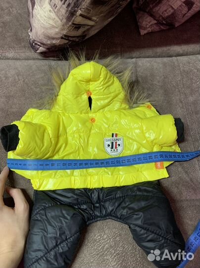 Одежда для собак