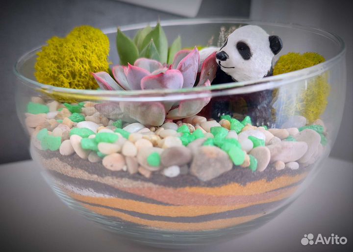 Флорариум для детей
