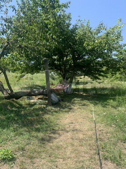 Дом 59 м² на участке 53 сот.