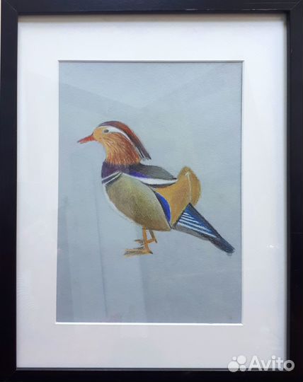 Графика Птицы