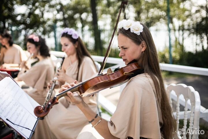 Музыканты на праздник, свадьбу, живая музыка