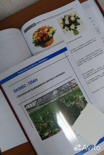 Бизнес-планы, фин. модели, тэо, анализ рынка