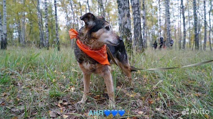 Даша ждёт своих родителей в приюте