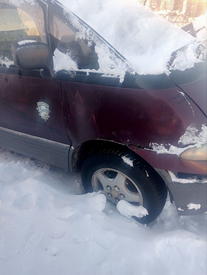 Toyota Estima: фото владельца