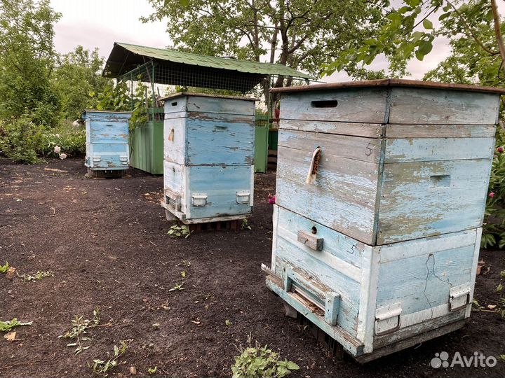 Продам ульи для пчел б/у