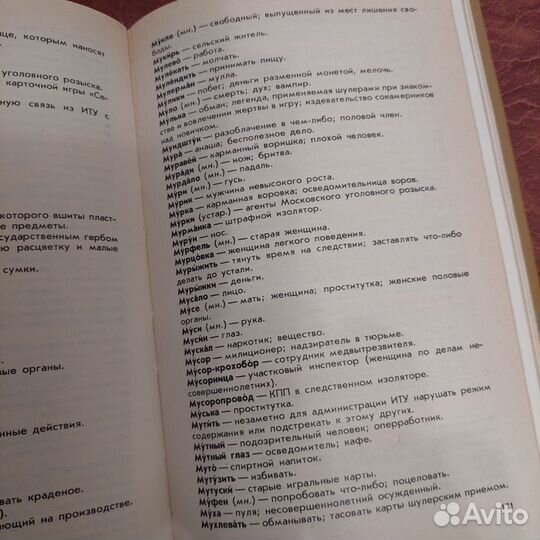 Лев Мильяненков По ту сторону закона