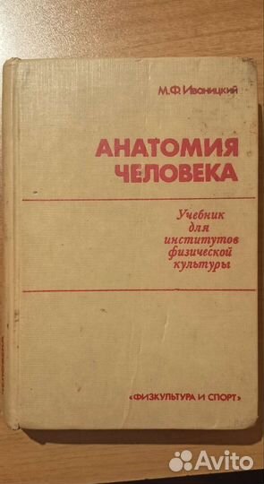 Анатомия человека