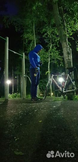 Слушатель, собеседник, друг на час