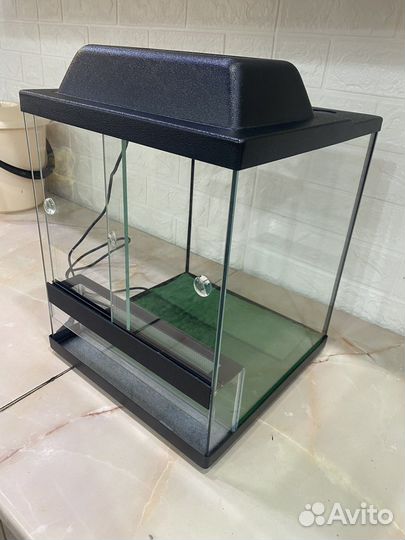 Террариум для рептилий