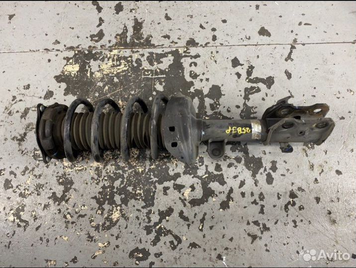 Амортизатор передний правый Honda CR-V 4 RM