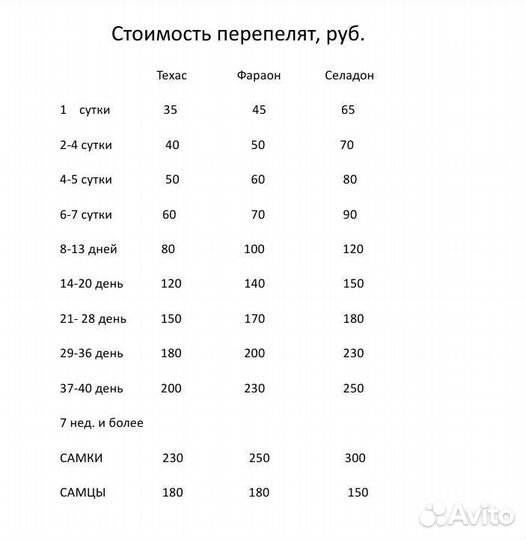 Перепела и яйцо инкубационное