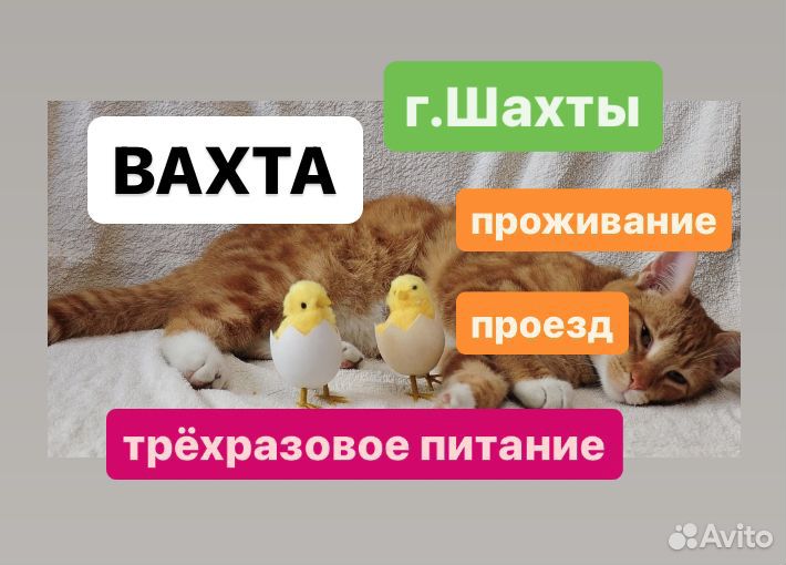 Работа вахтой Упаковщиками.Оплатим дорогу