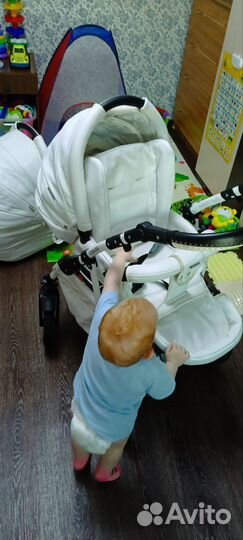 Коляска 2 в 1 Adamex Enduro (Эндуро) Кожа eccolux