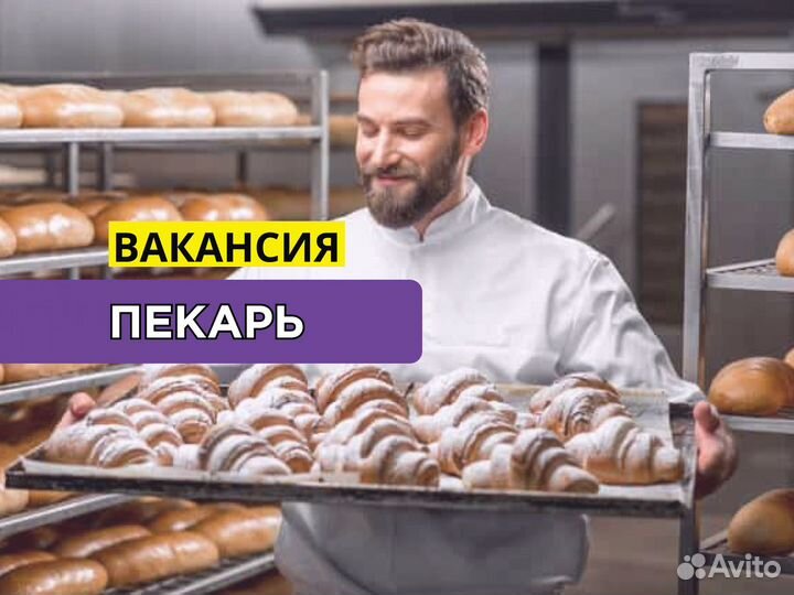 Пекарь. Еженедельные выплаты