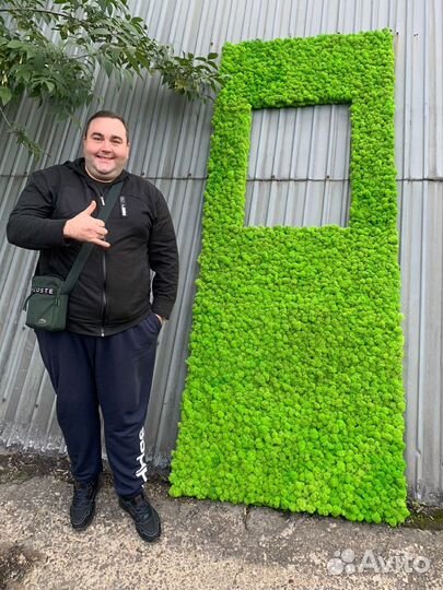 Стабилизированный мох, ягель, кочка, пласт, панно