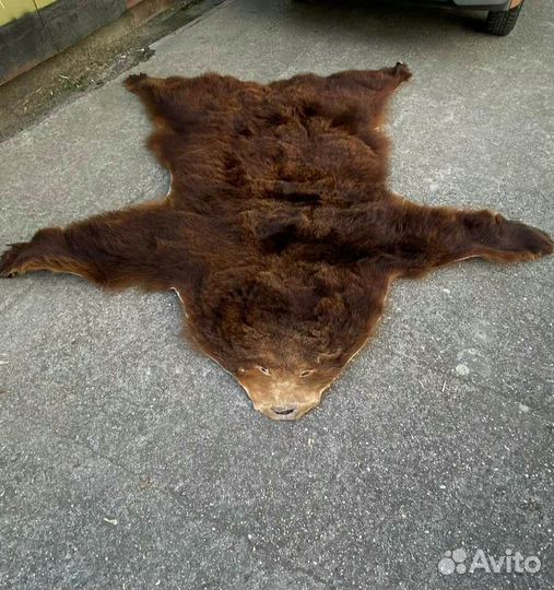 Шкура медведя