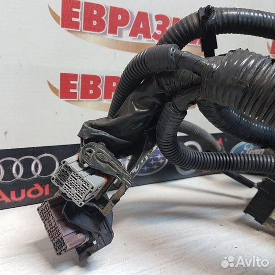 Проводка двс Nissan X-Trail T31 MR20 2010