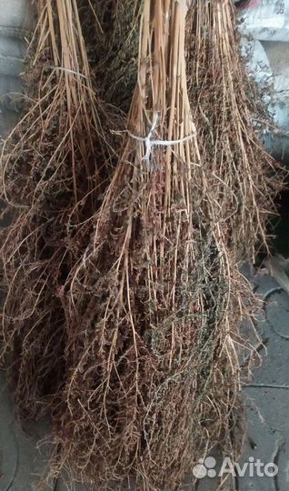 Метла для двора